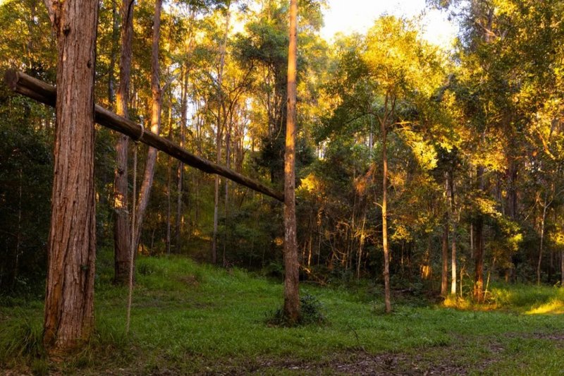 Photo - Landsborough QLD 4550 - Image 20