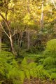 Photo - Landsborough QLD 4550 - Image 21