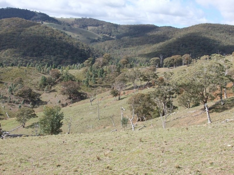 Photo - Lithgow NSW 2790 - Image 11