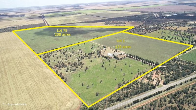 Photo - "Little Acres" Lot 1/14772 Mid Western Highway, Goolgowi NSW 2652 - Image 2