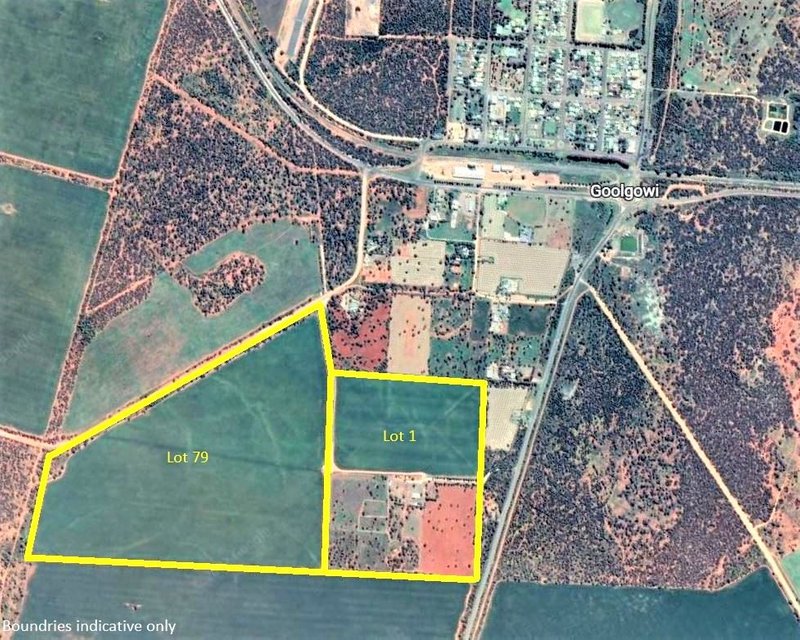 Photo - "Little Acres" Lot 1/14772 Mid Western Highway, Goolgowi NSW 2652 - Image 3