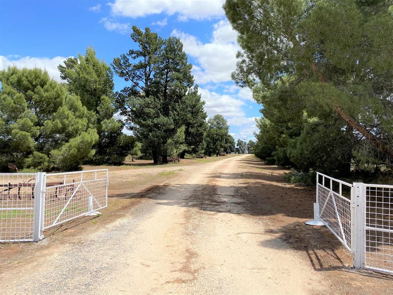 Photo - "Little Acres" Lot 1/14772 Mid Western Highway, Goolgowi NSW 2652 - Image 5