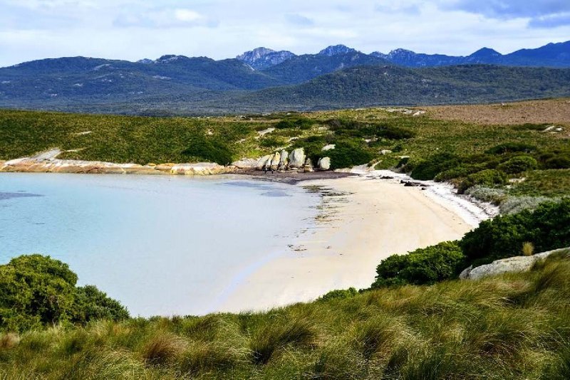 Photo - . Little Dog Island, Lady Barron TAS 7255 - Image 2