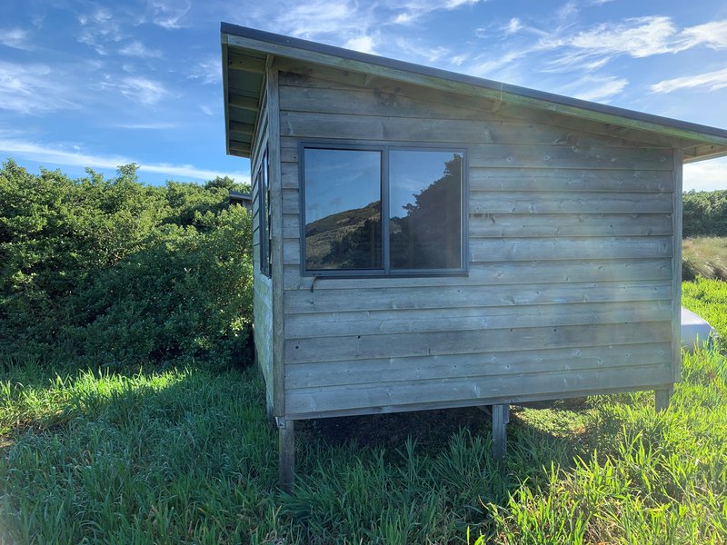 Photo - . Little Dog Island, Lady Barron TAS 7255 - Image 8