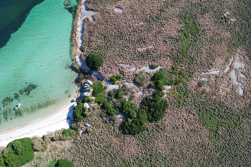 Photo - . Little Dog Island, Lady Barron TAS 7255 - Image 9