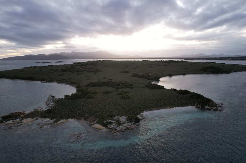 Photo - . Little Green Island, Lady Barron TAS 7255 - Image 3