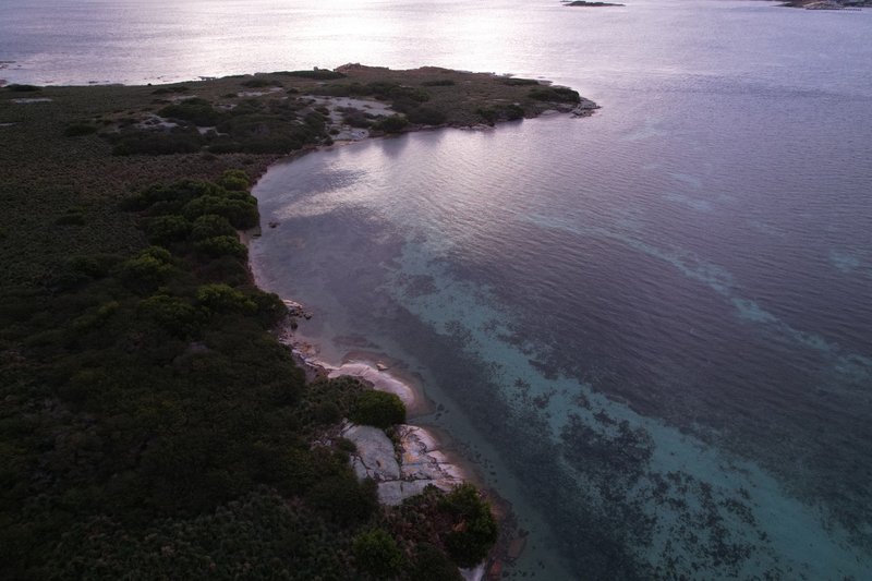 Photo - . Little Green Island, Lady Barron TAS 7255 - Image 7