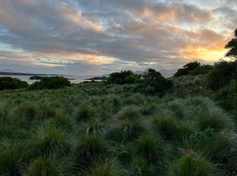 Photo - . Little Green Island, Lady Barron TAS 7255 - Image 9