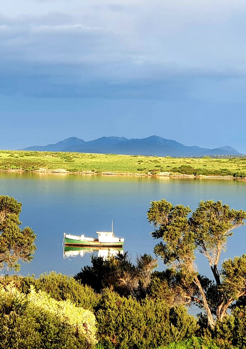 Photo - . Little Green Island, Lady Barron TAS 7255 - Image 10