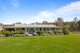 Photo - Lochinvar NSW 2321 - Image 2