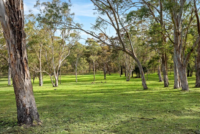 Photo - Lochinvar NSW 2321 - Image 29