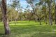 Photo - Lochinvar NSW 2321 - Image 29