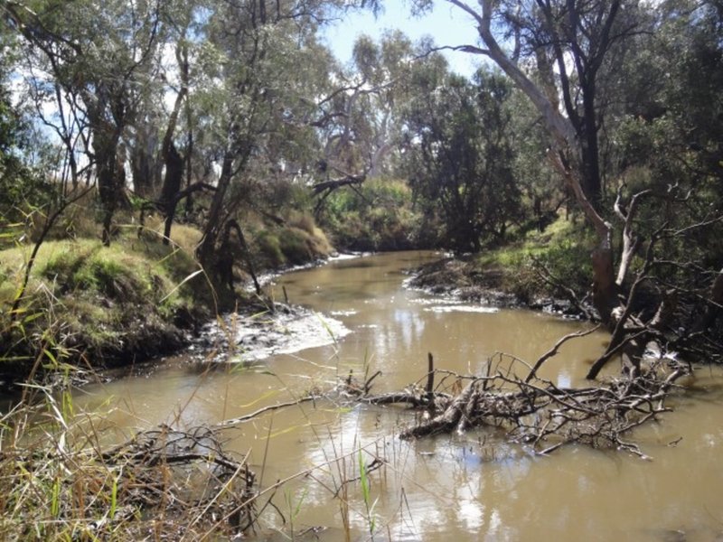 Photo - "Lochlea" Mason Road, Bowenville QLD 4404 - Image 11