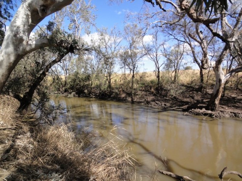 Photo - "Lochlea" Mason Road, Bowenville QLD 4404 - Image 14