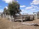 Photo - "Lochlea" Mason Road, Bowenville QLD 4404 - Image 20