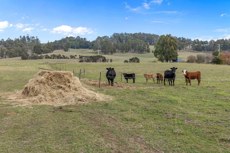 Photo - Lot 0 Goss Road, Railton TAS 7305 - Image 7