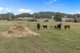 Photo - Lot 0 Goss Road, Railton TAS 7305 - Image 7