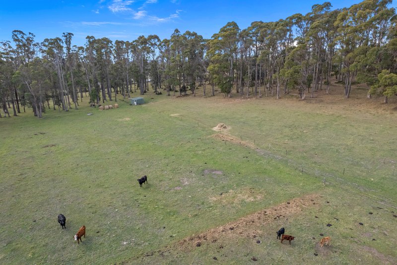 Photo - Lot 0 Goss Road, Railton TAS 7305 - Image 14