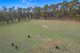 Photo - Lot 0 Goss Road, Railton TAS 7305 - Image 14