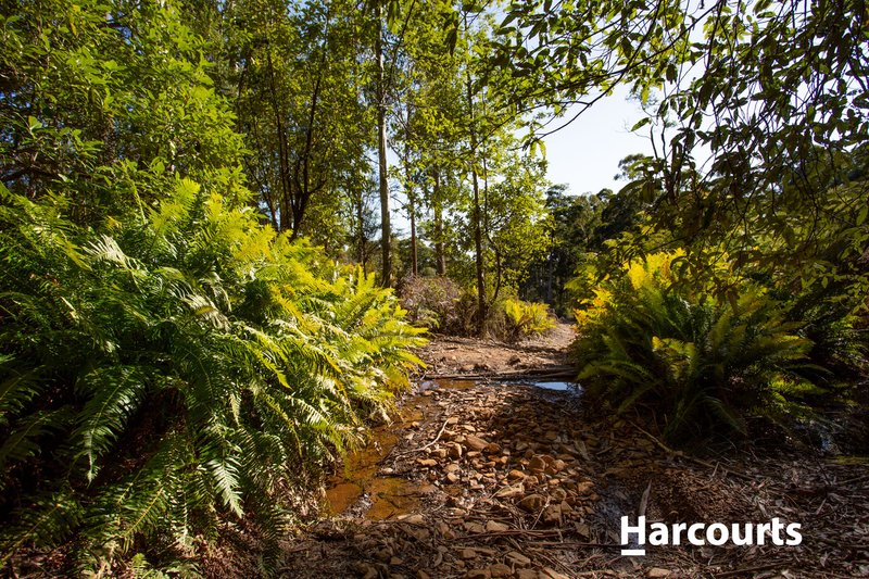 Photo - Lot 0 Highland Lakes Road, Golden Valley TAS 7304 - Image 1