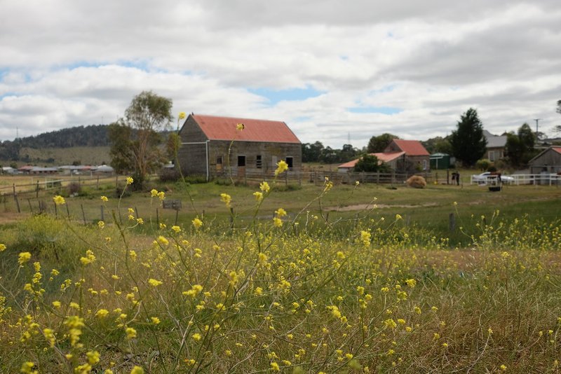 Photo - Lot 00 Tivoli Green, Old Beach TAS 7017 - Image 11