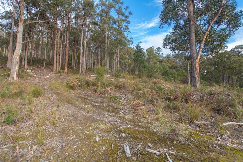 Lot 0785 Wallis Road, Judbury TAS 7109