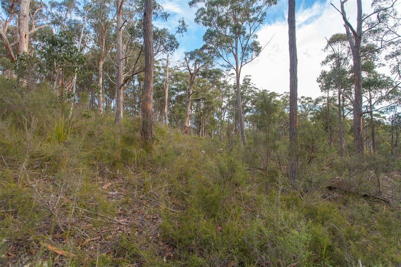 Photo - Lot 0785 Wallis Road, Judbury TAS 7109 - Image 3