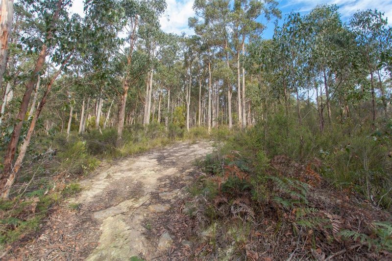 Photo - Lot 0785 Wallis Road, Judbury TAS 7109 - Image 5