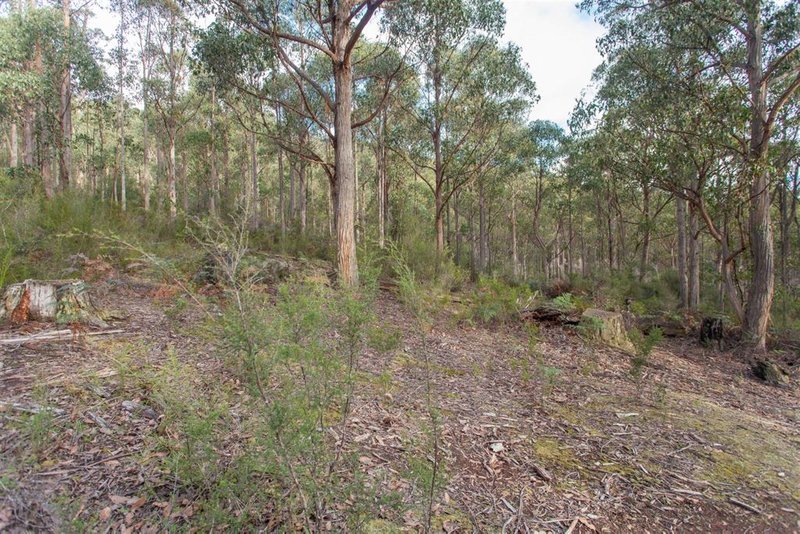 Photo - Lot 0785 Wallis Road, Judbury TAS 7109 - Image 8