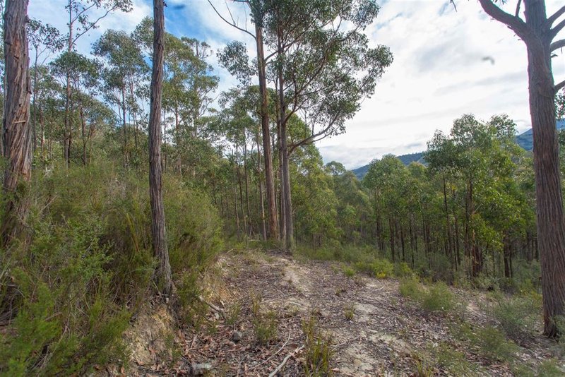 Photo - Lot 0785 Wallis Road, Judbury TAS 7109 - Image 9