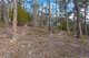 Photo - Lot 0785 Wallis Road, Judbury TAS 7109 - Image 12