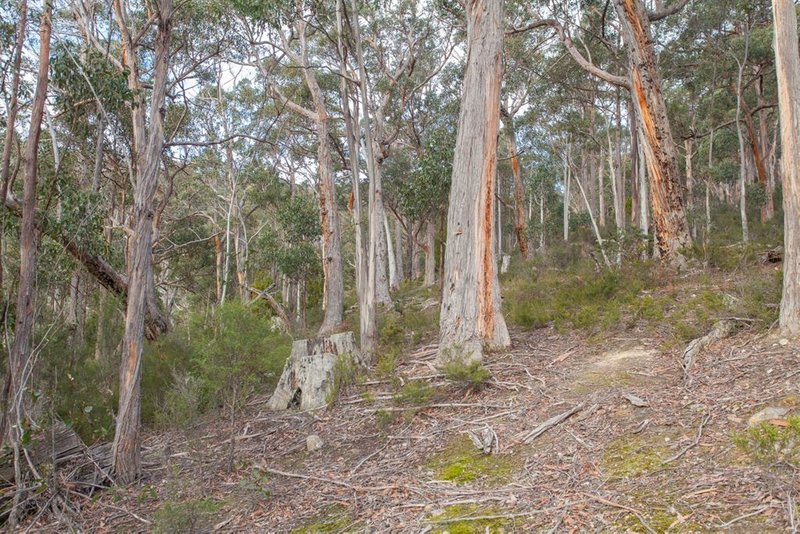 Photo - Lot 0785 Wallis Road, Judbury TAS 7109 - Image 13