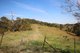 Photo - Lot 1, 0 Clune Rd , Cedar Pocket QLD 4570 - Image 2