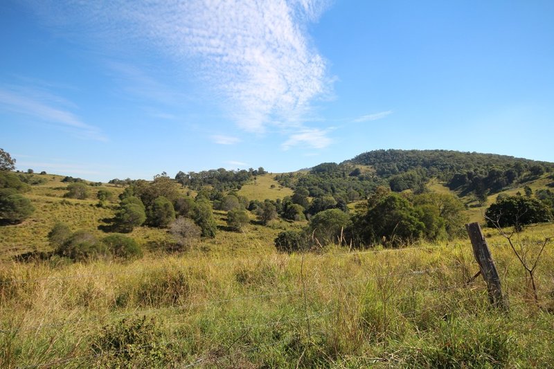 Photo - Lot 1, 0 Clune Rd , Cedar Pocket QLD 4570 - Image 4