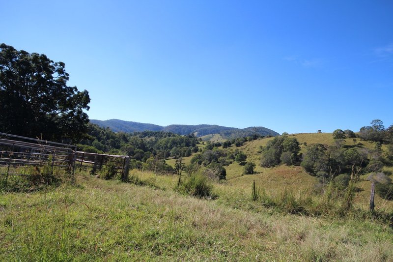 Photo - Lot 1, 0 Clune Rd , Cedar Pocket QLD 4570 - Image 6