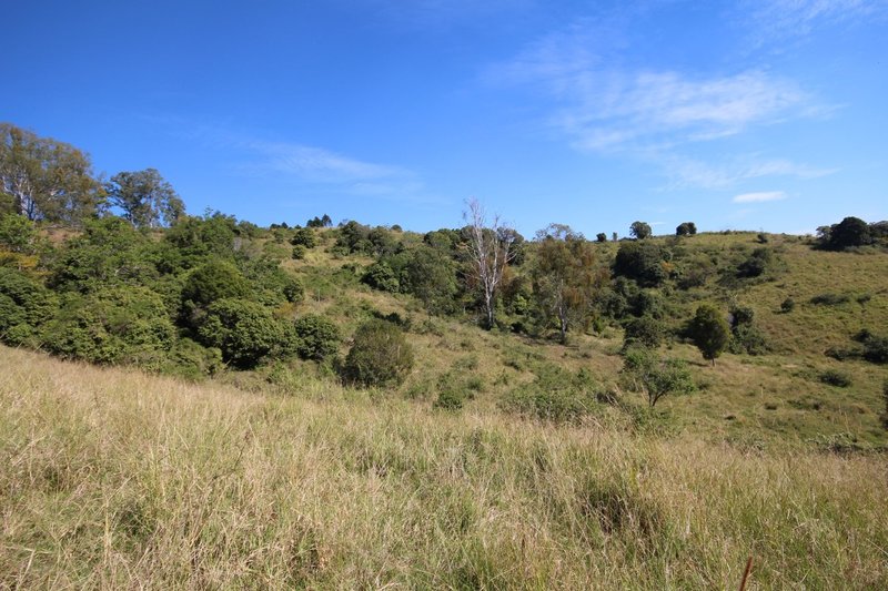 Photo - Lot 1, 0 Clune Rd , Cedar Pocket QLD 4570 - Image 8