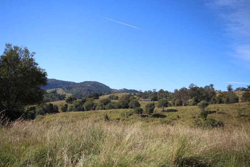 Photo - Lot 1, 0 Clune Rd , Cedar Pocket QLD 4570 - Image 9