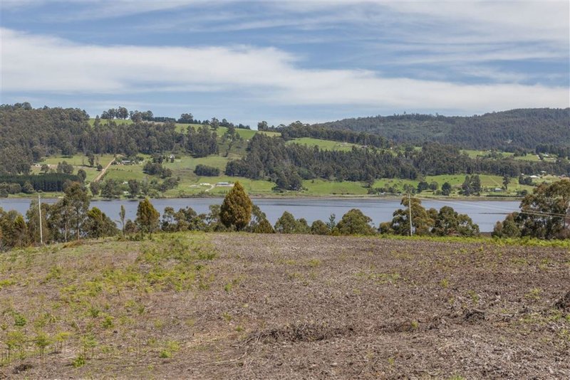 Photo - Lot 1-1640 Cygnet Coast Road, Cradoc TAS 7109 - Image 3