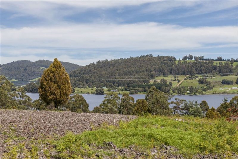 Photo - Lot 1-1640 Cygnet Coast Road, Cradoc TAS 7109 - Image 7