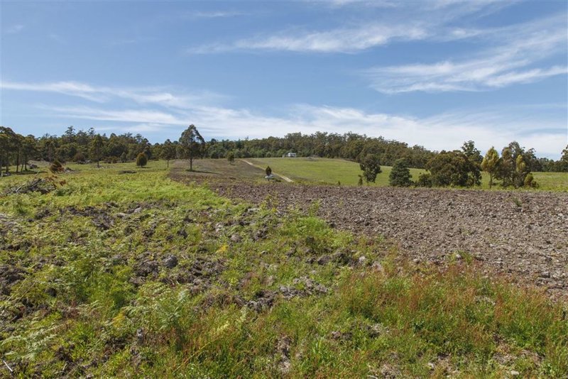 Photo - Lot 1-1640 Cygnet Coast Road, Cradoc TAS 7109 - Image 8