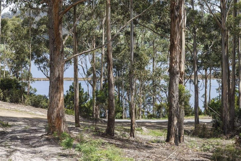 Photo - Lot 1-1640 Cygnet Coast Road, Cradoc TAS 7109 - Image 10