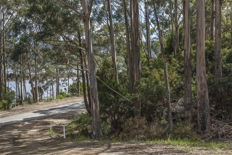 Photo - Lot 1-1640 Cygnet Coast Road, Cradoc TAS 7109 - Image 11