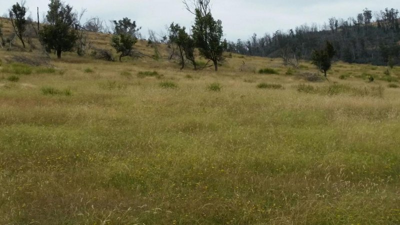 Photo - Lot 1, 172 Primrose Sands Road, Carlton River TAS 7173 - Image 12