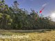 Photo - Lot 1, 190 Stormlea Road, Nubeena TAS 7184 - Image 3