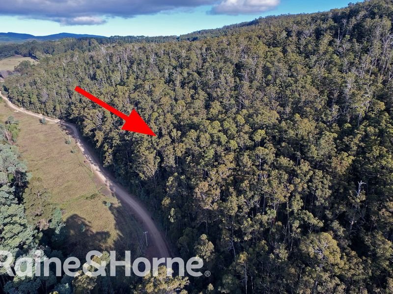 Photo - Lot 1, 190 Stormlea Road, Nubeena TAS 7184 - Image 4