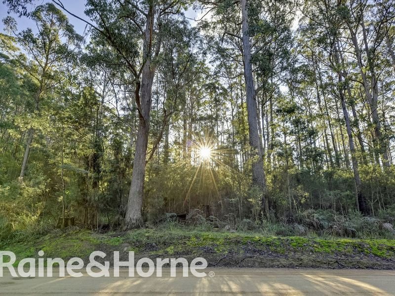 Photo - Lot 1, 190 Stormlea Road, Nubeena TAS 7184 - Image 6