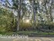 Photo - Lot 1, 190 Stormlea Road, Nubeena TAS 7184 - Image 6