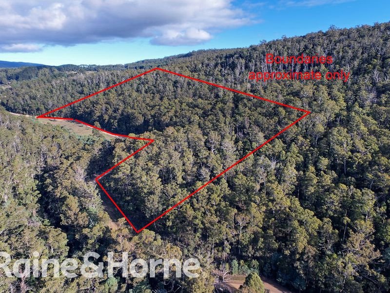 Photo - Lot 1, 190 Stormlea Road, Nubeena TAS 7184 - Image 8