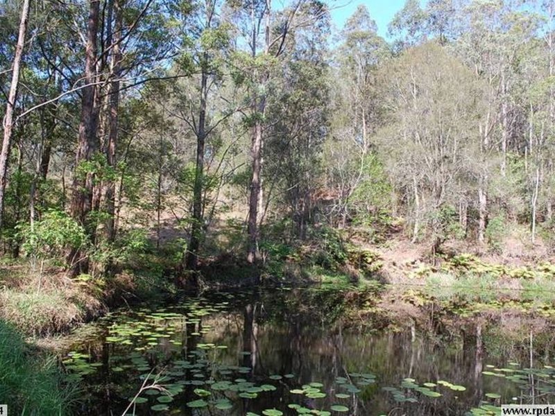 Photo - Lot 1- 206 Upper Buckrabendinni Road, Buckra Bendinni NSW 2449 - Image 4