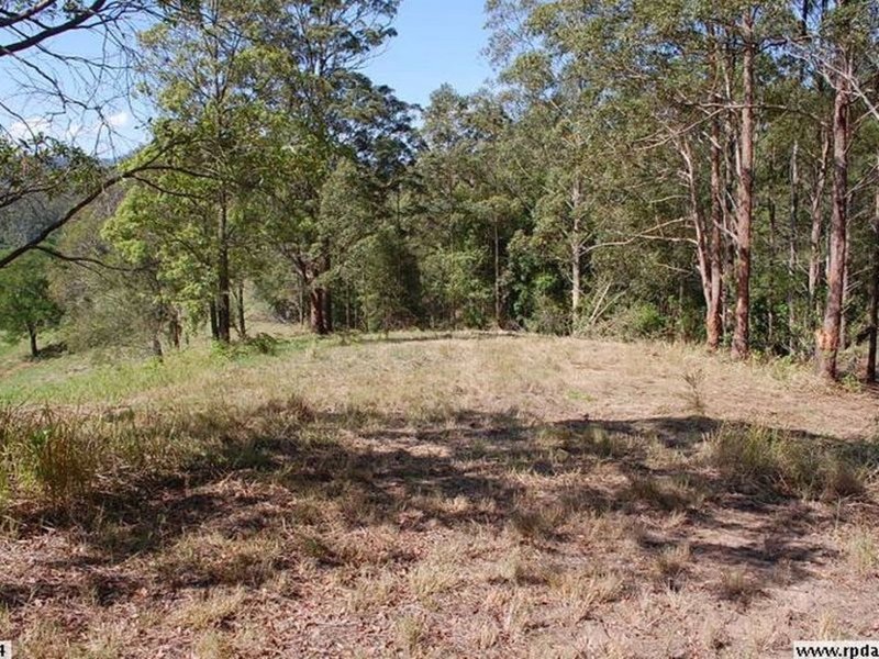 Photo - Lot 1- 206 Upper Buckrabendinni Road, Buckra Bendinni NSW 2449 - Image 5